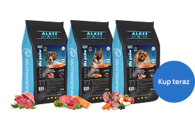 Zdrowie i energia – najlepsze karmy dla Twojego psa