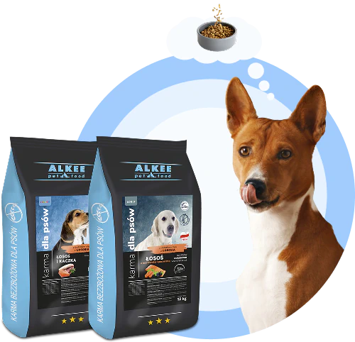 Zdrowie i energia – najlepsze karmy dla Twojego psa